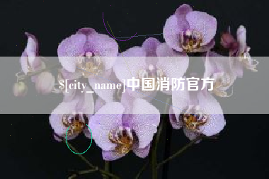 泰州中国消防官方