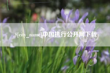 泰州中国执行公开网下载