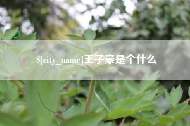 泰州王子豪是个什么