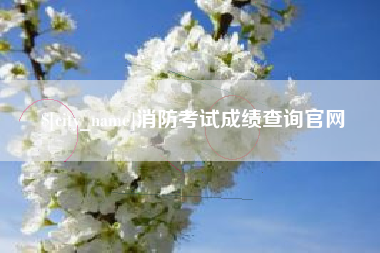 泰州消防考试成绩查询官网