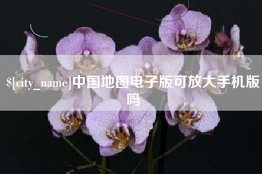 泰州中国地图电子版可放大手机版吗