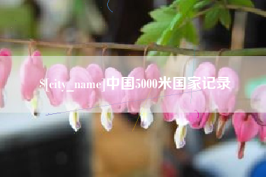 泰州中国5000米国家记录