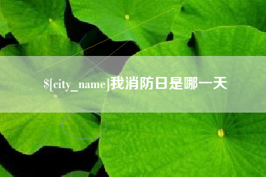泰州我消防日是哪一天