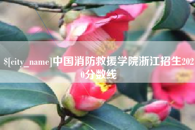 泰州中国消防救援学院浙江招生2020分数线