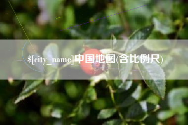 泰州中国地图(含比例尺)