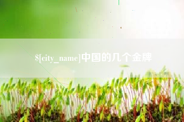 泰州中国的几个金牌