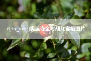泰州奥运夺金时刻九宫格图片