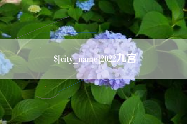 泰州2022九宫