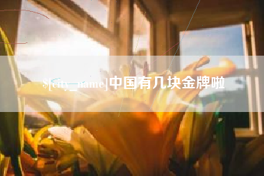 泰州中国有几块金牌啦