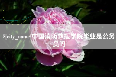 泰州中国消防救援学院毕业是公务员吗