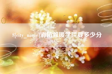 泰州消防救援学院要多少分