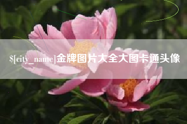 泰州金牌图片大全大图卡通头像