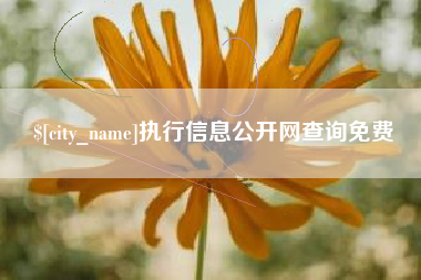 泰州执行信息公开网查询免费